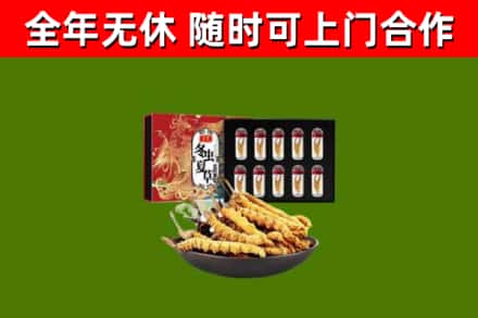 城阳回收冬虫夏草价格